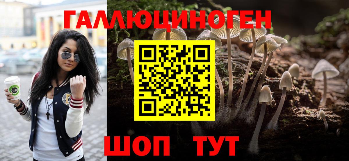 Галлюциногенные грибы Psilocybe  Вход с VPN  Кемерово  Псилоцибиновые грибы Psilocybine cubensis 
